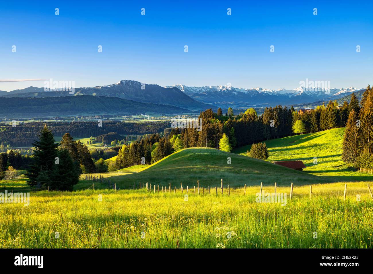printemps dans l'allgäu. vue sur l'illertal aux alpes de l'allgäu avec les grünten. prairies, forêts et montagnes enneigées sous un ciel bleu. bavière, allemagne, europe Banque D'Images