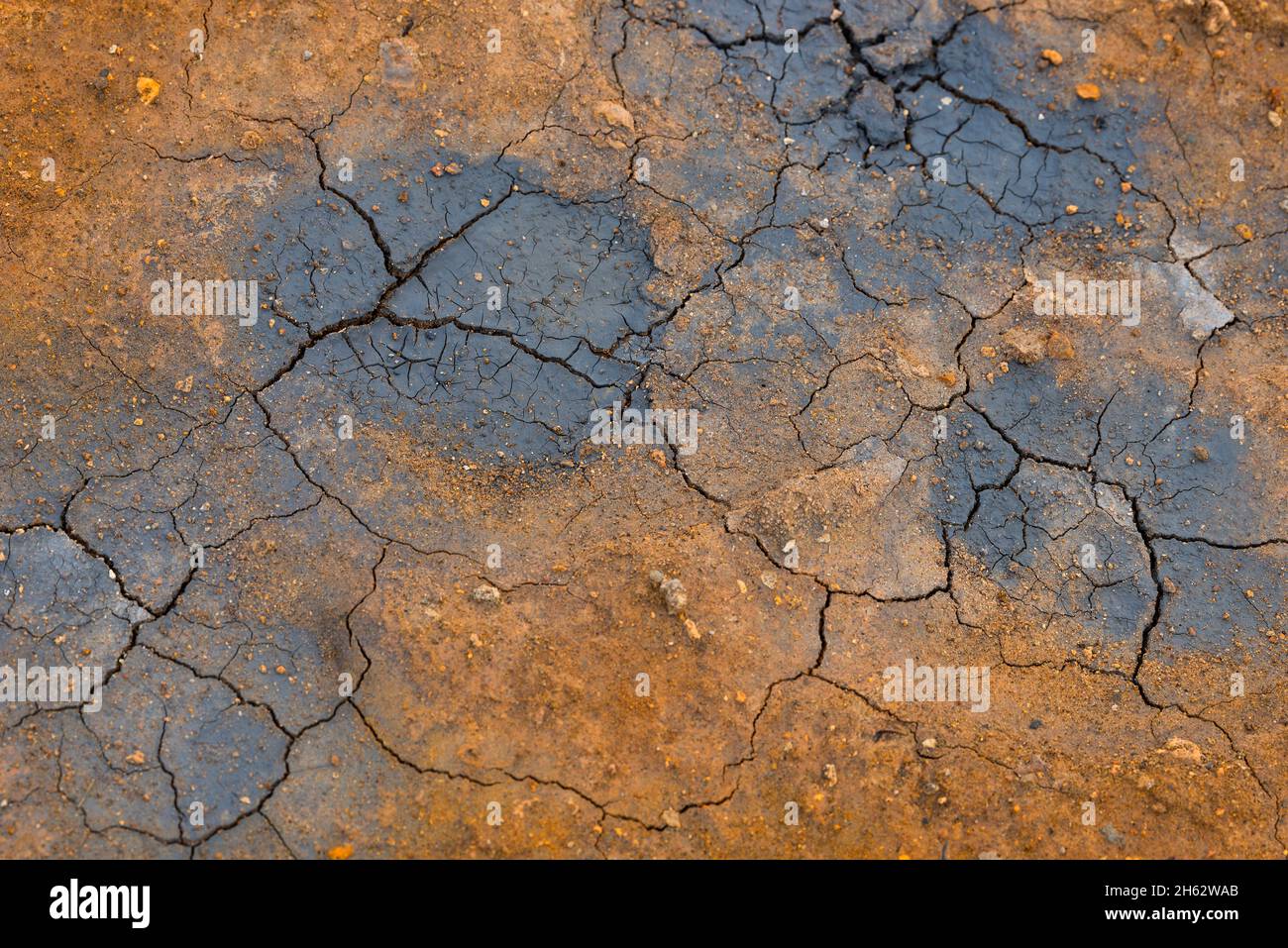 couleurs et fissures dans la terre sur un pot de boue dans la zone solfatar de hverarönd, également appelé námaskarã°,námafjall,mãvatn région dans le nord de l'islande Banque D'Images