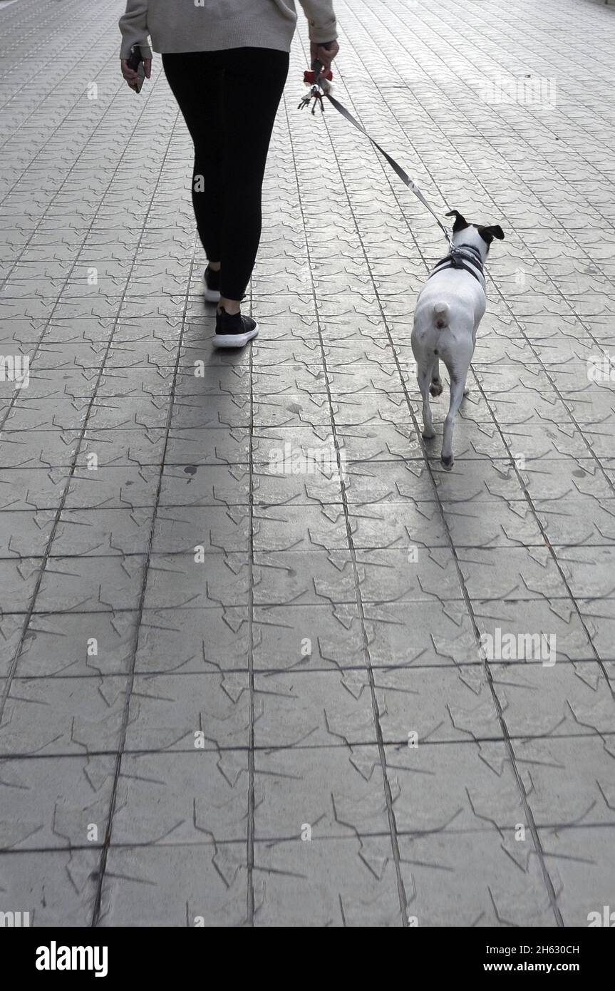 chien marchant avec son propriétaire Banque D'Images