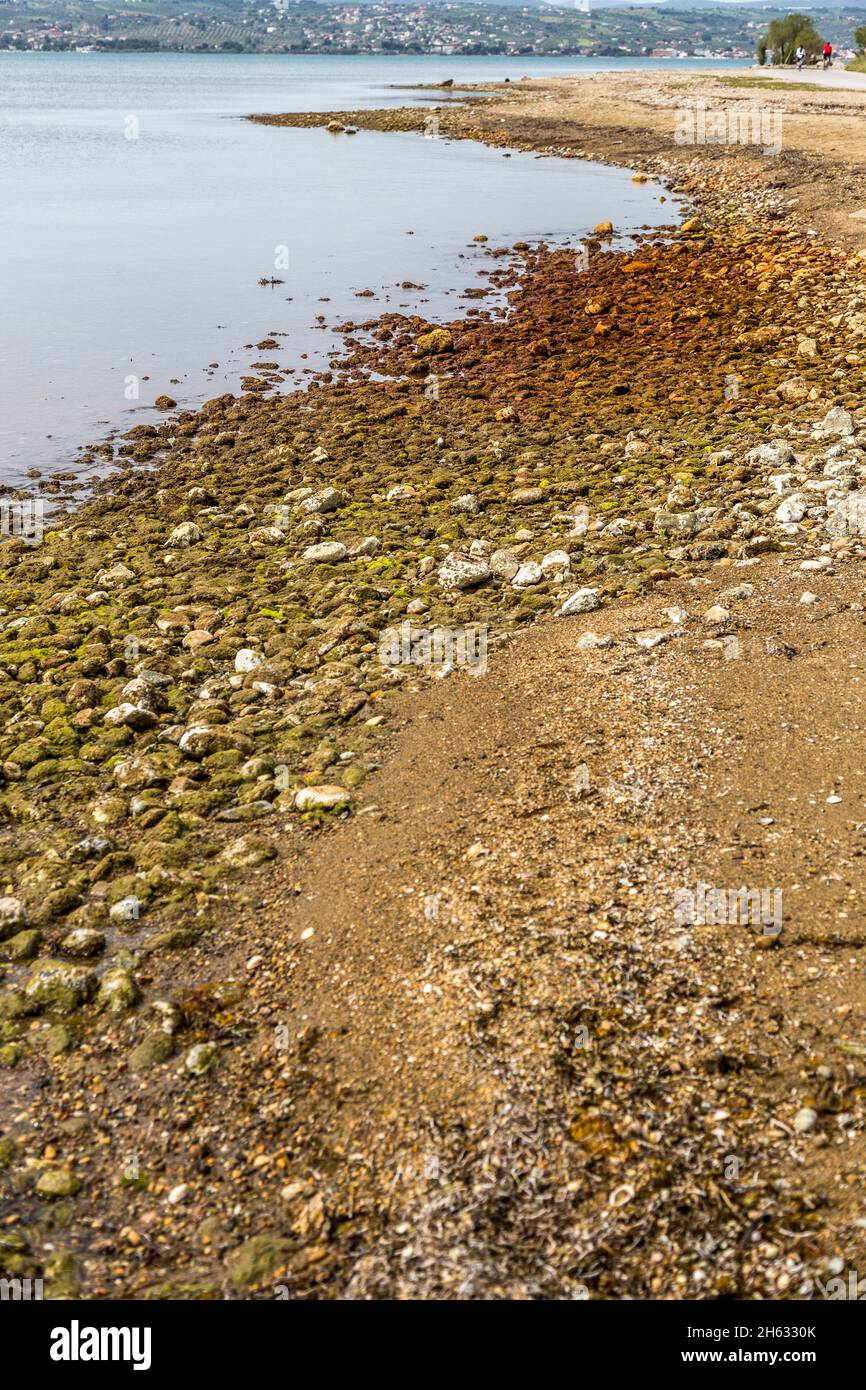 des pierres de couleur étrange à la plage Banque D'Images