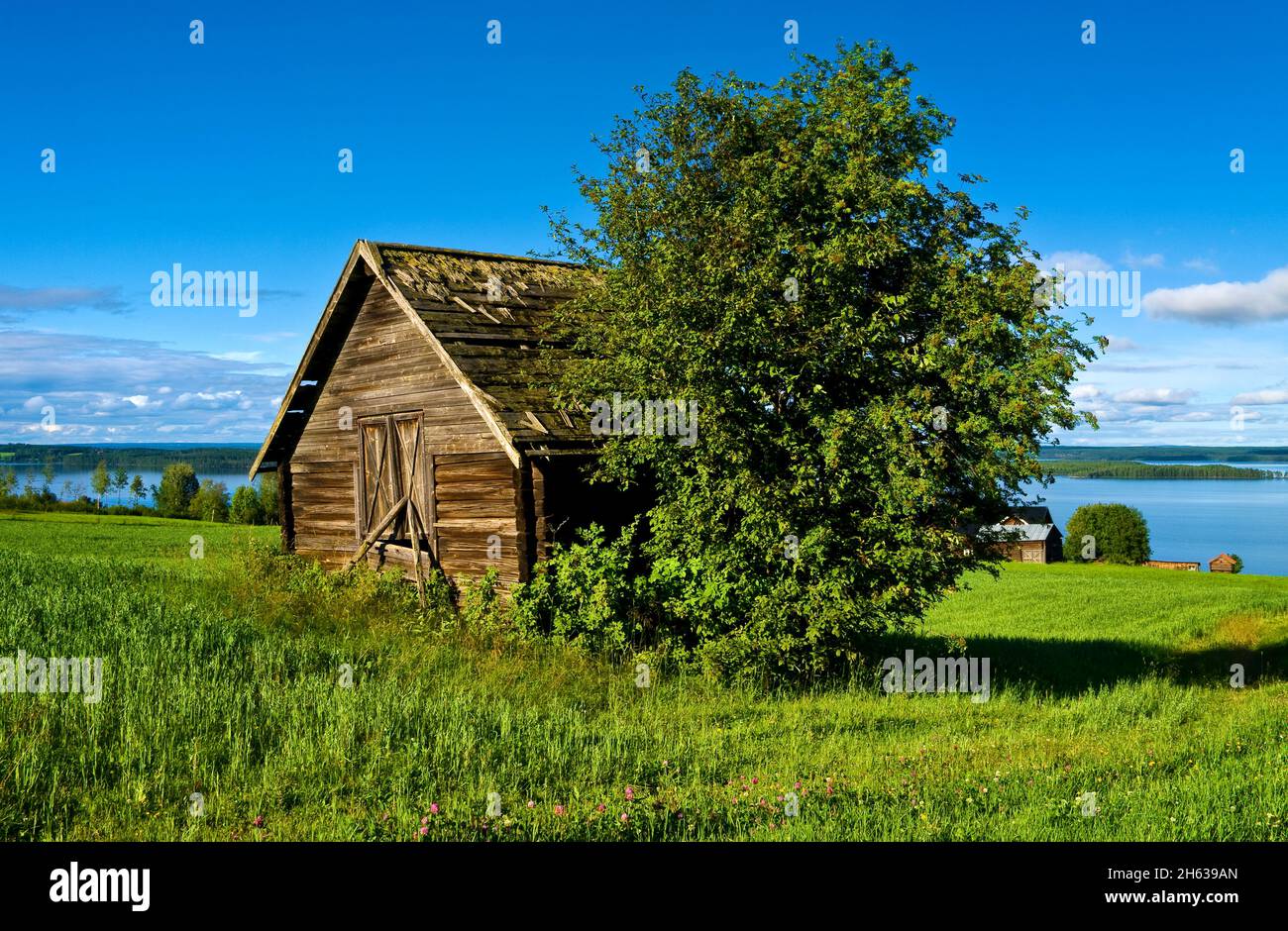 europe,suède,province de jämtland,étables de campagne sur les rives du storsjön Banque D'Images