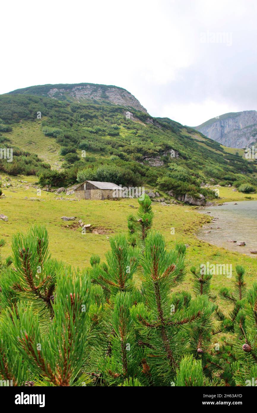 randonnée jusqu'au zireiner voir 4 hectares de lac de montagne à 1799 m dans les alpes de brandenberger, tyrol, municipalité de münster, ancienne cabane alpine en pierre avec le toit de bardeaux, en arrière-plan le latschberg (1949 m), Banque D'Images