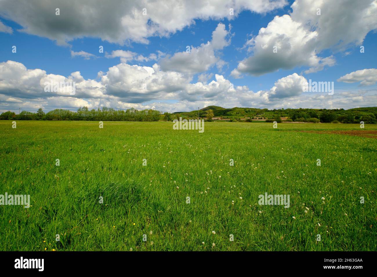 niedermoor dans la réserve naturelle principale près de augsfeld, ville de haßfurt, quartier de hassberge, basse-franconie, franconie, bavière, allemagne Banque D'Images