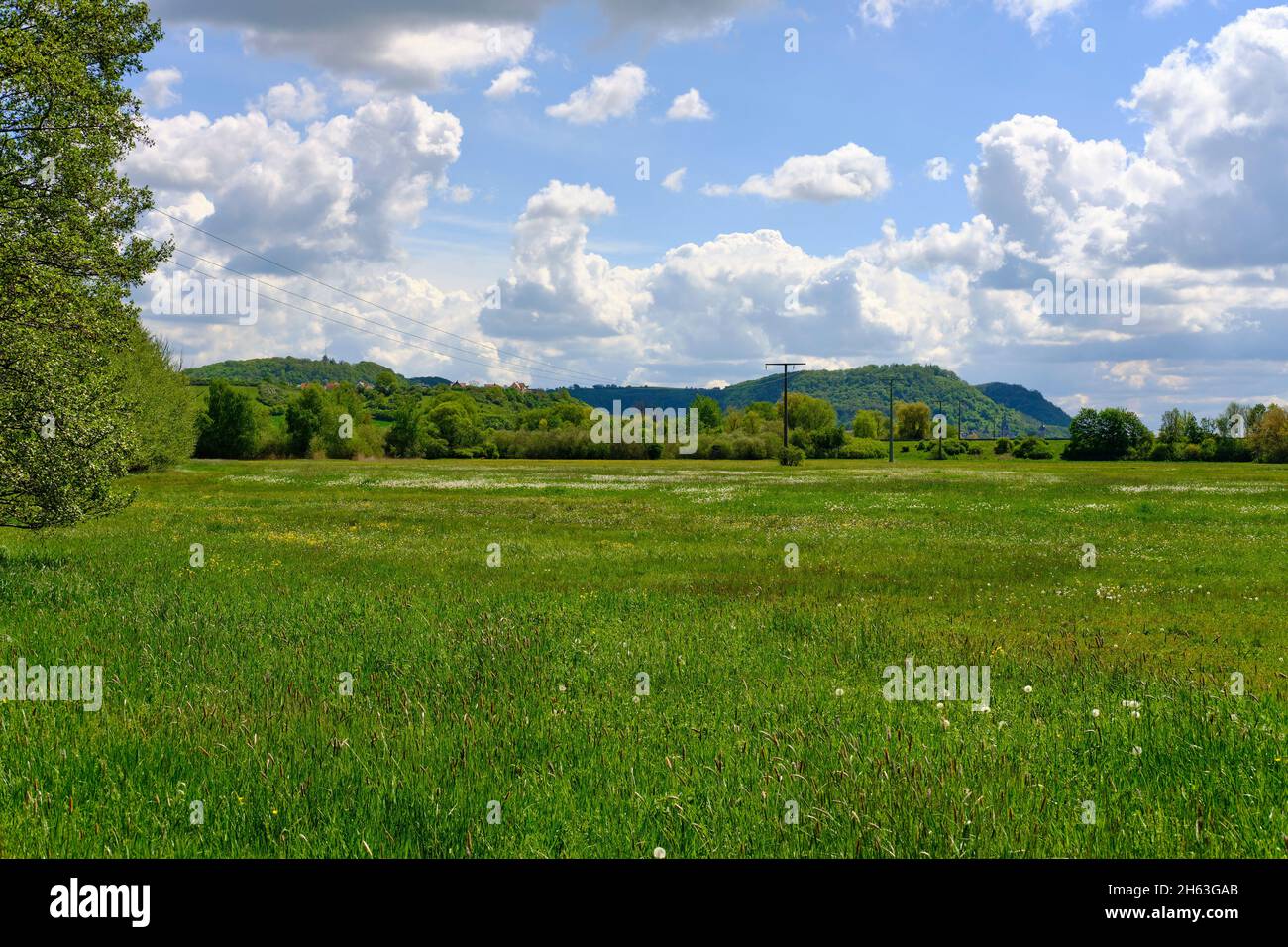 niedermoor dans la réserve naturelle principale près de augsfeld, ville de haßfurt, quartier de hassberge, basse-franconie, franconie, bavière, allemagne Banque D'Images