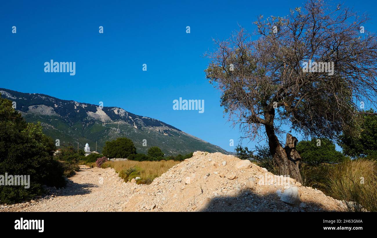 grèce,iles grecques,iles ioniennes,kefalonia,côte sud-est,monastère de sissia,abandonné,13ème siècle ad francis d'assise,ruines,solitaire,vue de la route de retour au nouveau monastère,arbre par le bord de route,ciel bleu,montagnes dans le fond Banque D'Images