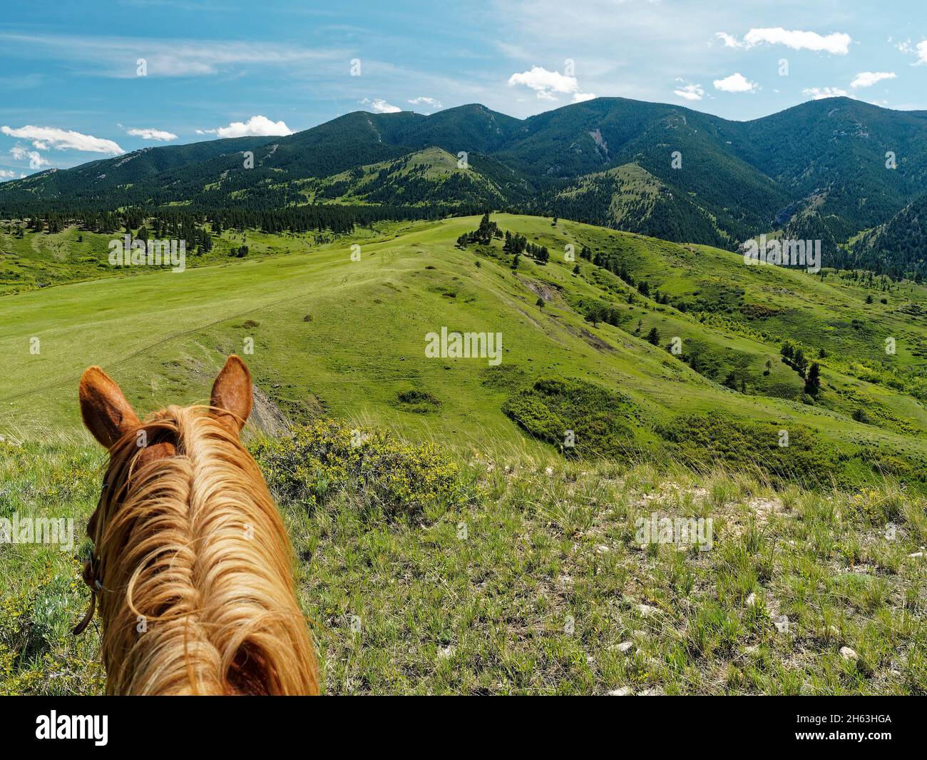 american west, ranch dude, exploration, promenade à cheval (vue du pilote), loisirs, vue sur la montagne, loisirs, aventure douce, randonnée, états-unis, wyoming, montagnes bighorn, ranch eaton Banque D'Images