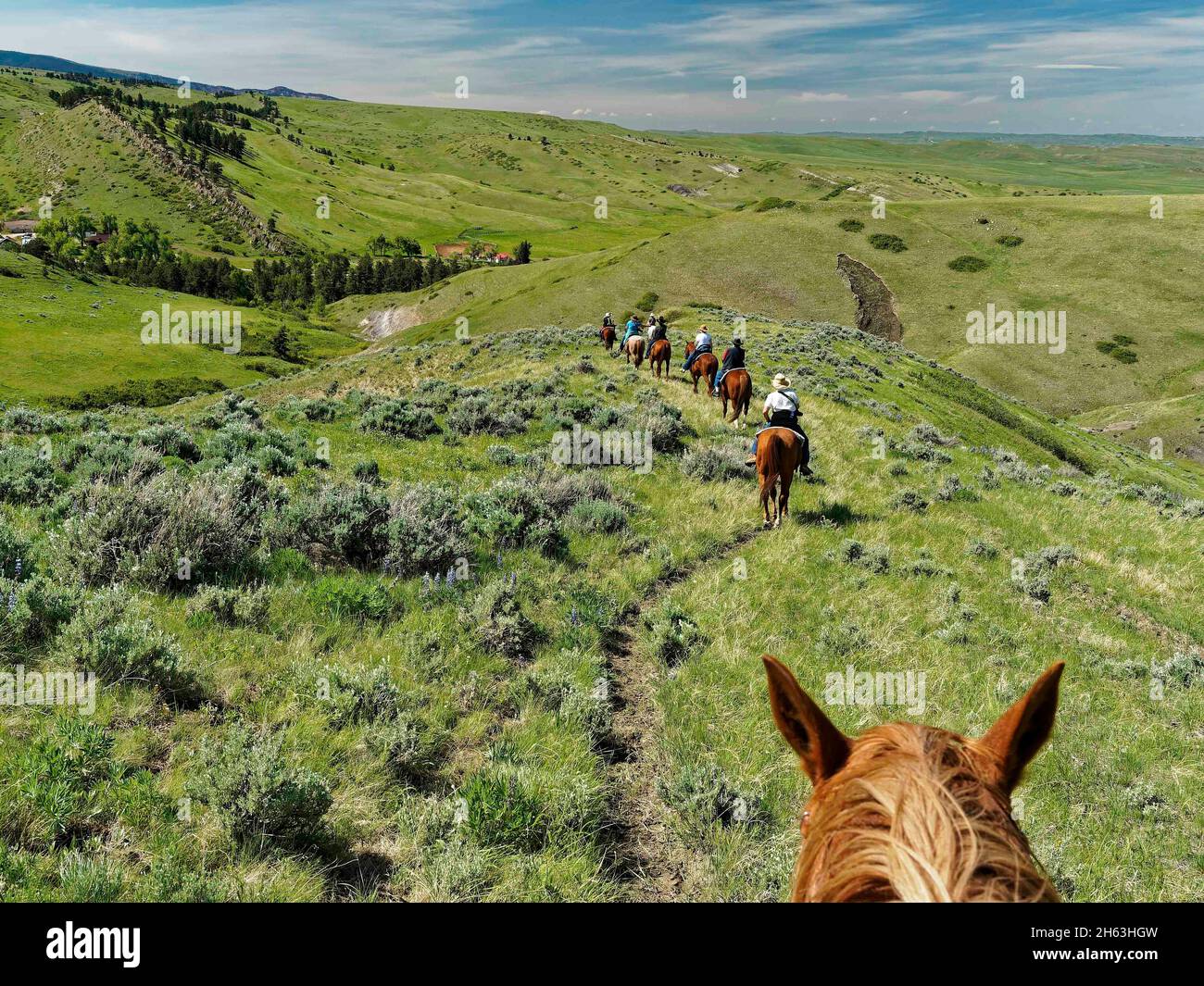 american west, ranch dude, (vue du pilote) randonnée, exploration, loisirs, vue sur la montagne, loisirs, aventure douce, randonnée, états-unis, wyoming, montagnes bighorn, ranch eaton Banque D'Images