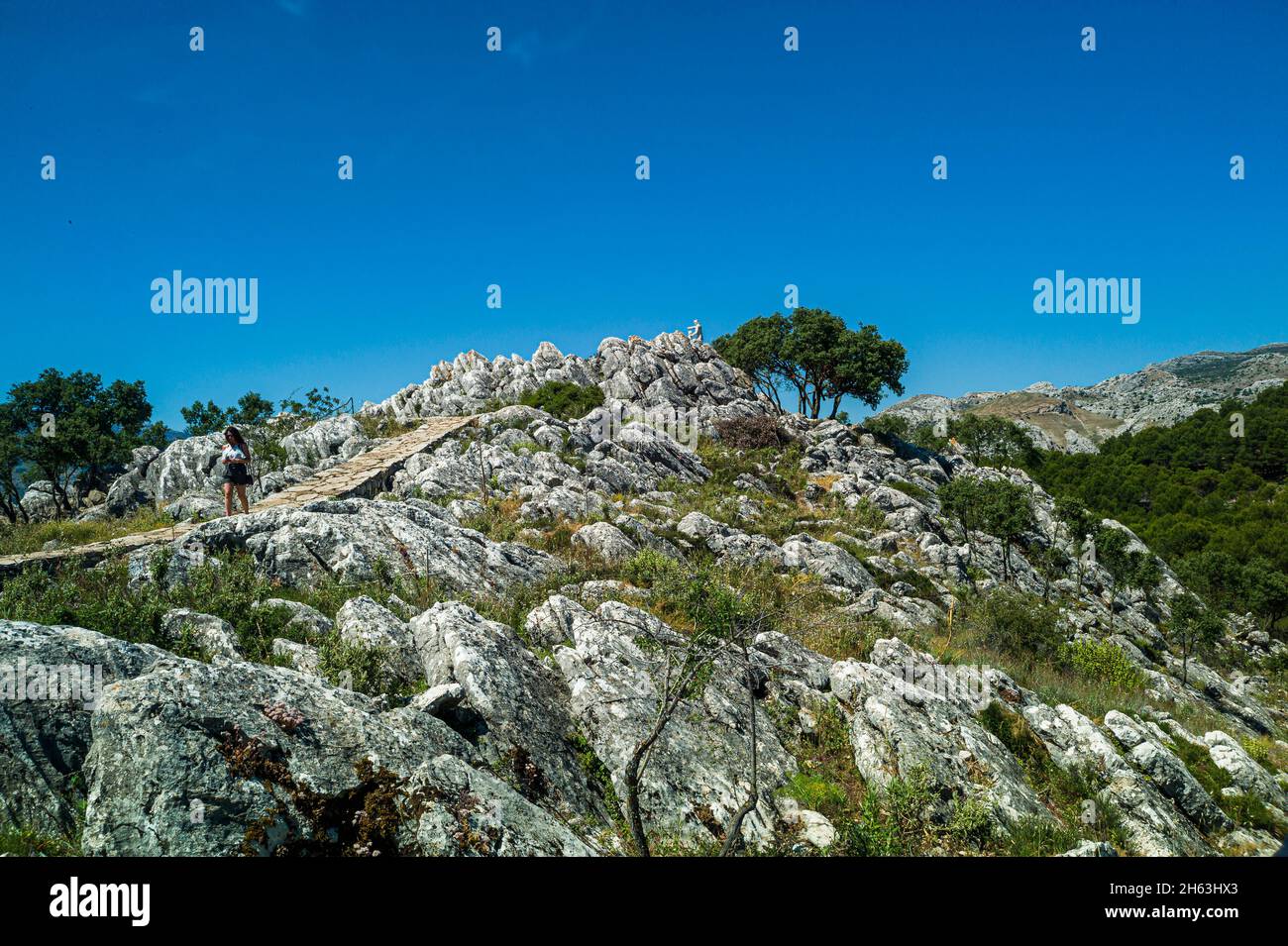 profitez de la vue magnifique de mirador del guarda forestal en andalousie Banque D'Images