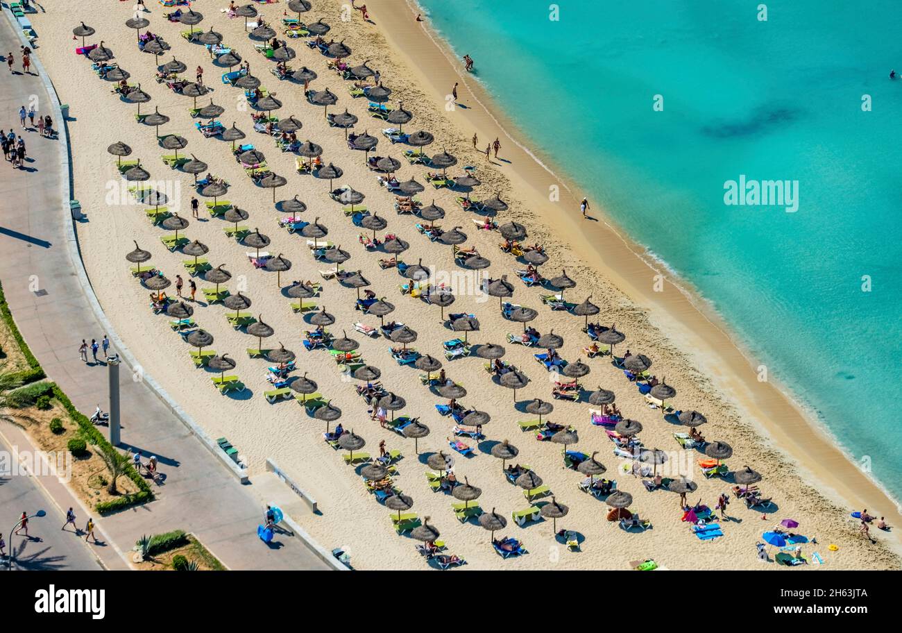vue aérienne, vie de plage et bains de soleil avec des parasols en paille à playa de palma, majorque, îles baléares, espagne Banque D'Images