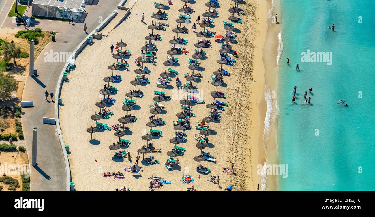 vue aérienne, vie de plage avec parasols en paille à playa de palma, majorque, iles baléares, espagne Banque D'Images
