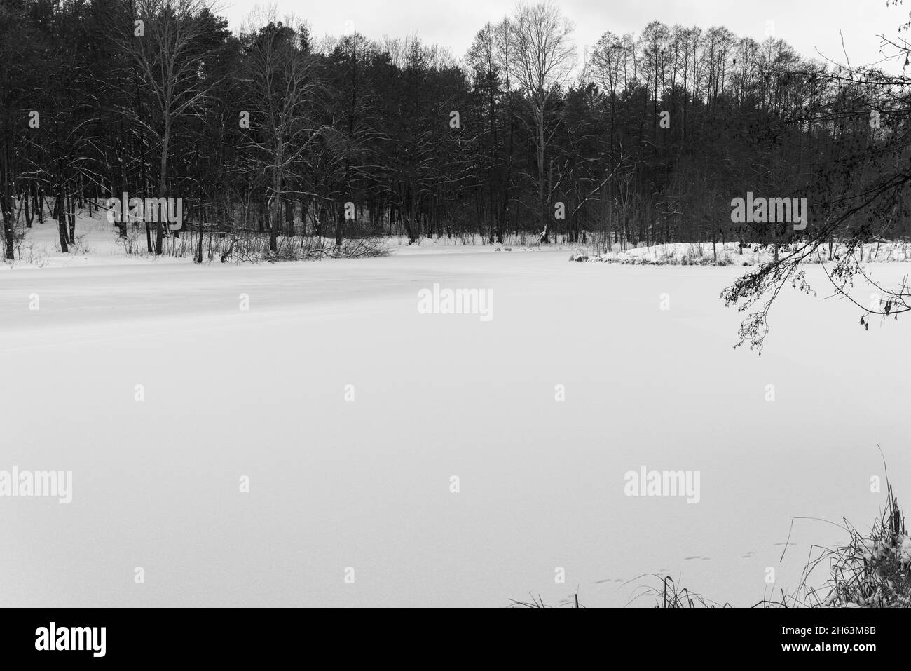 petit lac gelé et neigeux dans le petit village de gotow dans l'état de brandebourg en allemagne, noir et blanc Banque D'Images