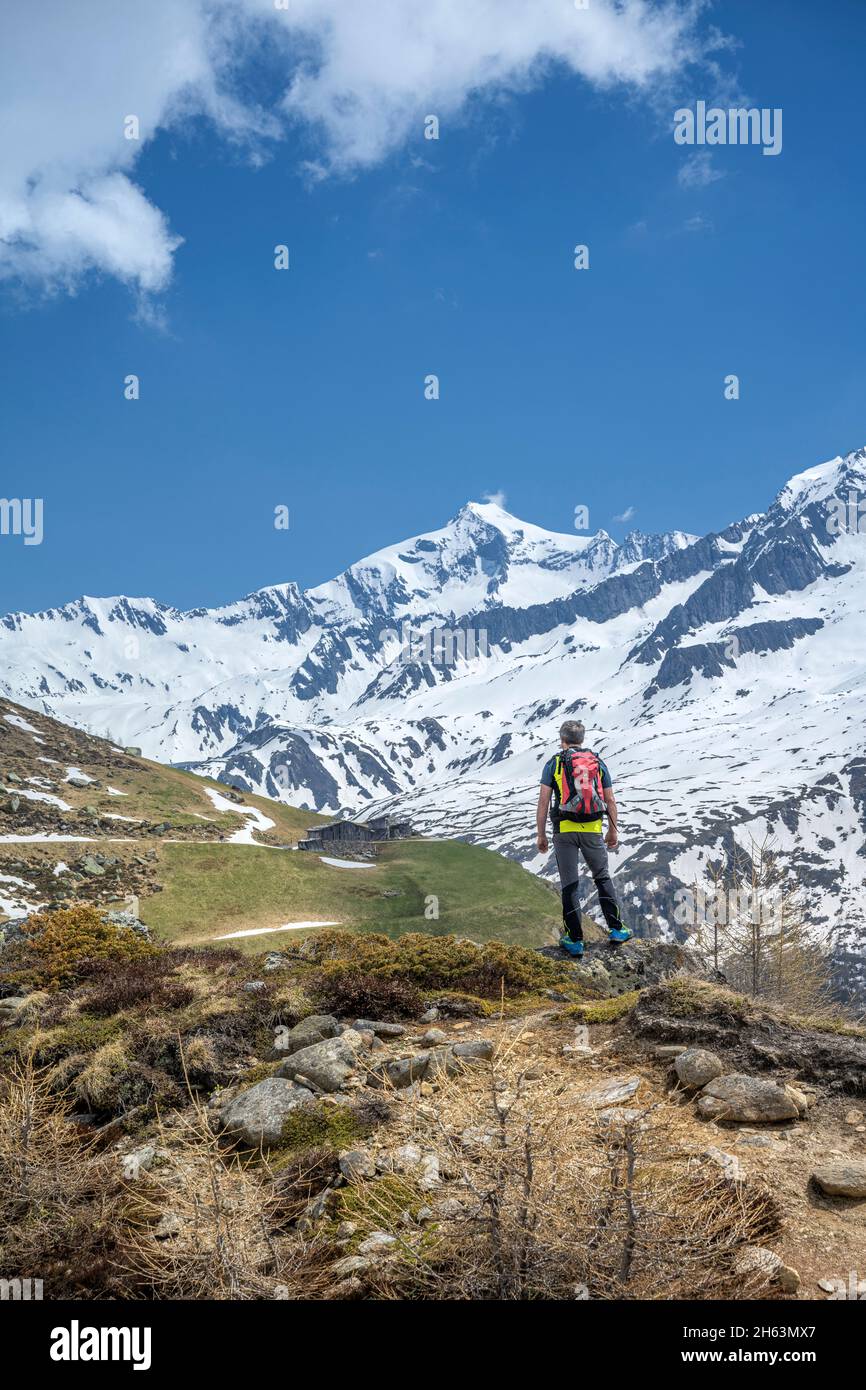 pretttau,ahrntal,province de bolzano,tyrol du sud,italie. un randonneur de montagne en face de la puissante dreiherrnspitze Banque D'Images