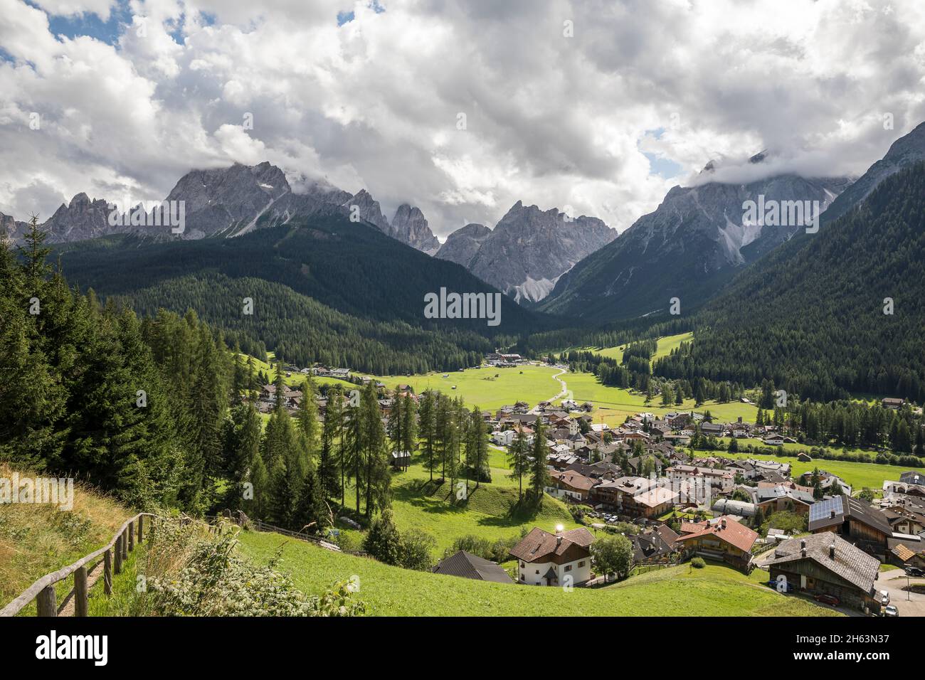 mousse dans la vallée de sesto en face des dolomites de sesto, centre de l'entrée de la fischleintal, tyrol du sud, italie Banque D'Images