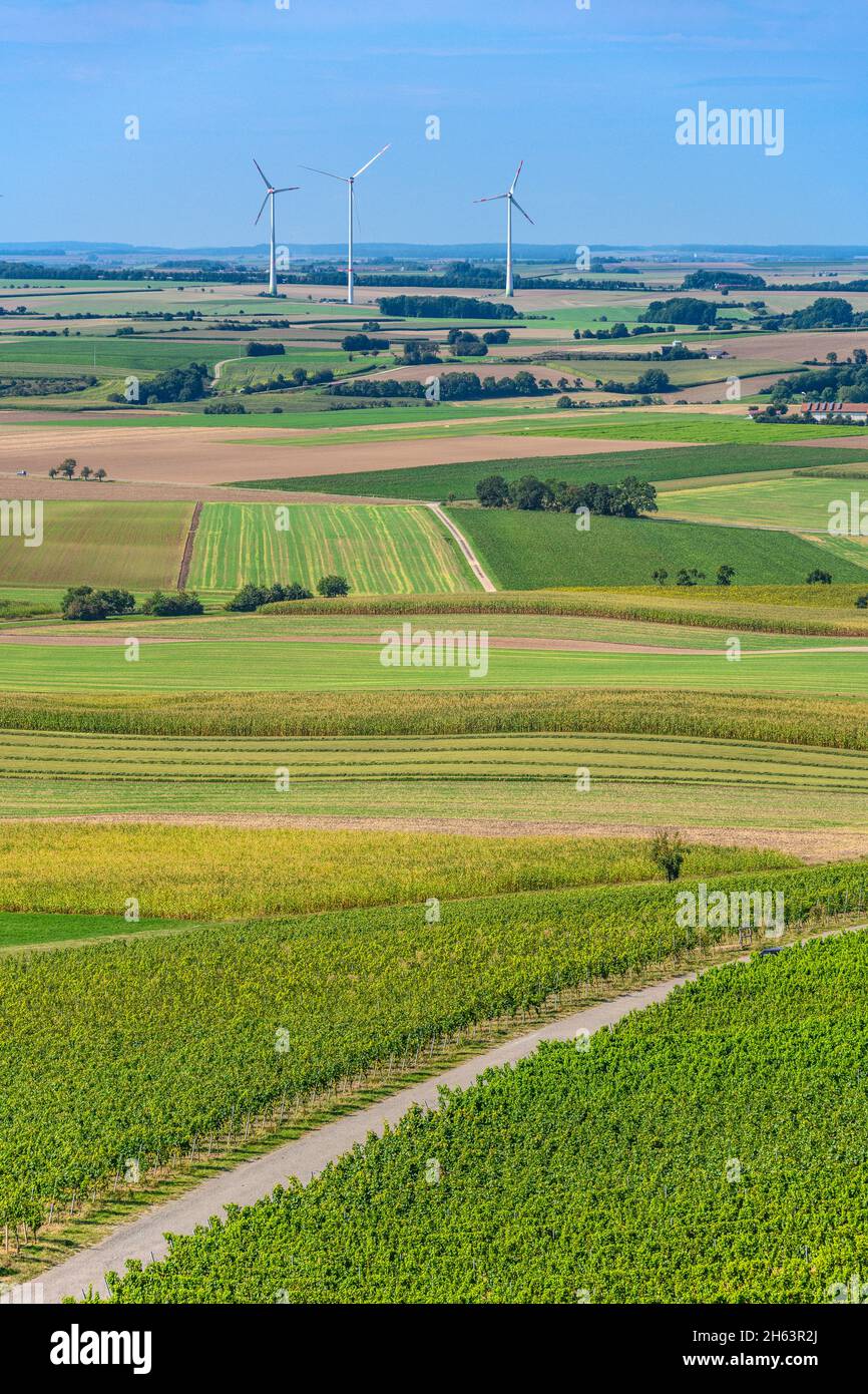 allemagne,bavière,moyenne franconie,franconie franconie pays viticole,marché ippesheim,paysage viticole sur bullenheimer berg Banque D'Images