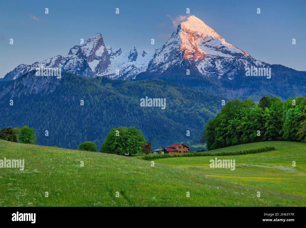 paysage de montagne avec watzmann 2713m au soleil du soir,berchtesgaden,alpes berchtesgaden,berchtesgaden land,haute-bavière,bavière,allemagne Banque D'Images