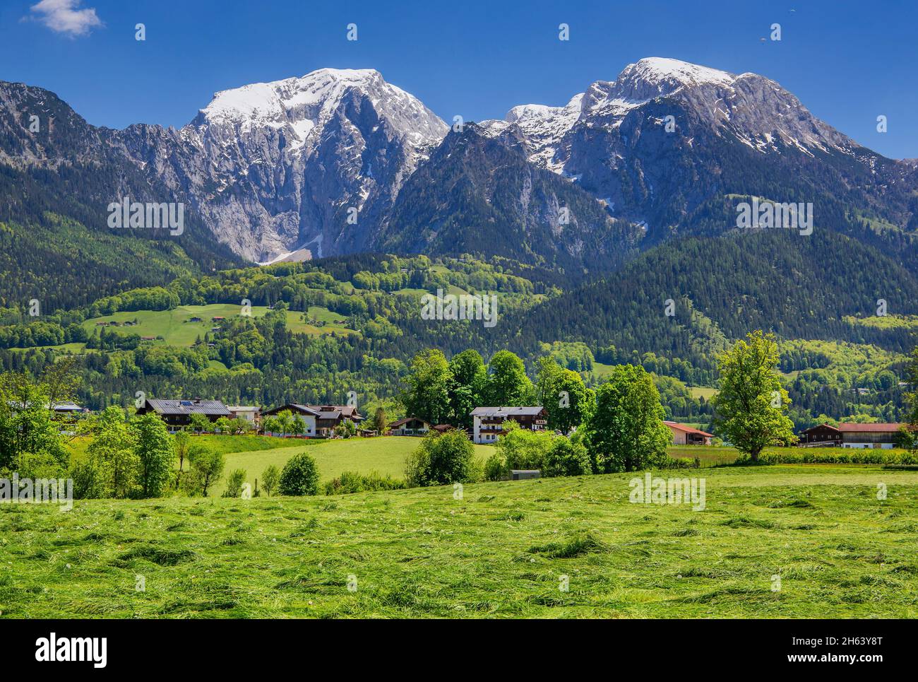prairie de montagne avec hoher göll 2522m et hohes brett 2340m,schönau am koenigssee,alpes de berchtesgaden,berchtesgadener land,haute-bavière,bavière,allemagne Banque D'Images