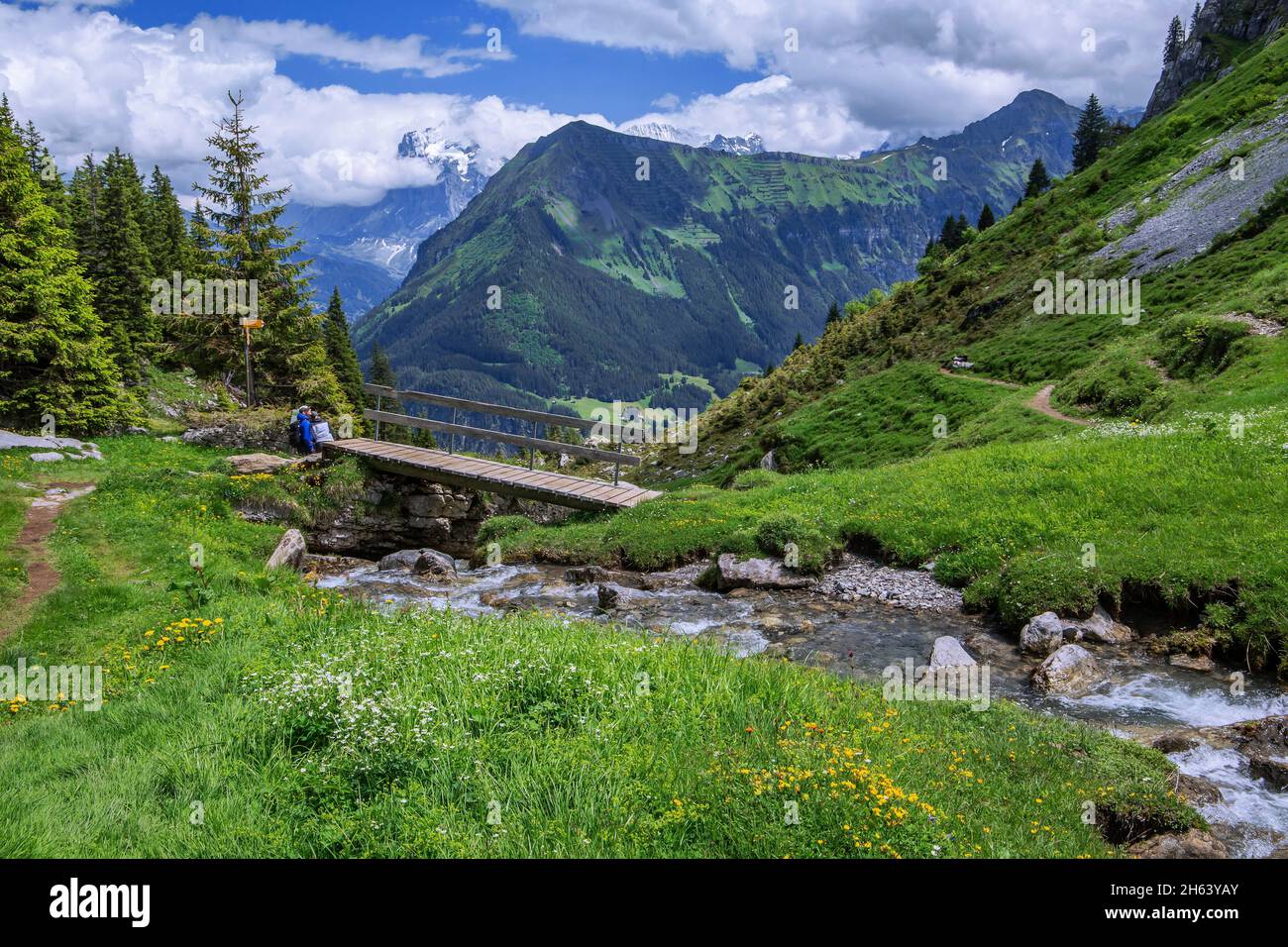 pont avec ruisseau de montagne sur le sentier de randonnée à loboghorhütte,isenfluh,district de lauterbrunnen,vallée de lauterbrunnen,alpes bernoises,oberland bernois,canton de berne,suisse Banque D'Images