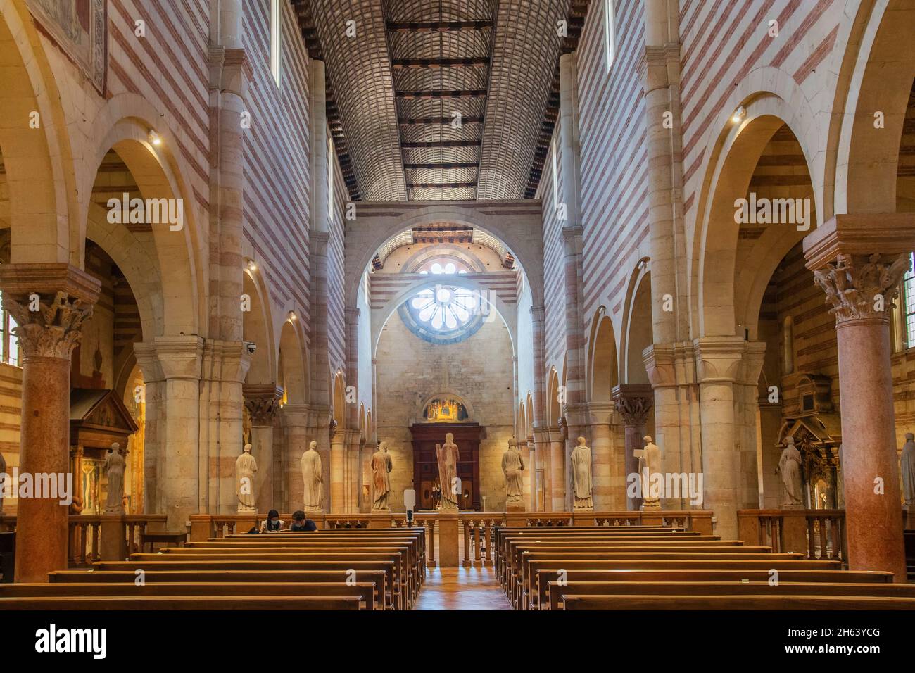 intérieur (nef) de l'église de san zeno maggiore dans la vieille ville, vérone, adige, vallée de l'adige, province de vérone, vénétie, italie Banque D'Images