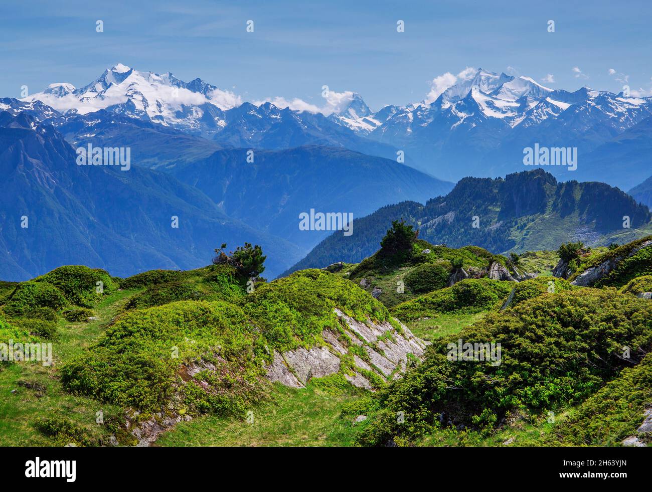 panorama sur le sommet avec dom 4545m, matterhorn 4478m et weisshorn 4505m de la région d'aletsch zone de randonnée, riederalp, valais alpes, valais, suisse Banque D'Images