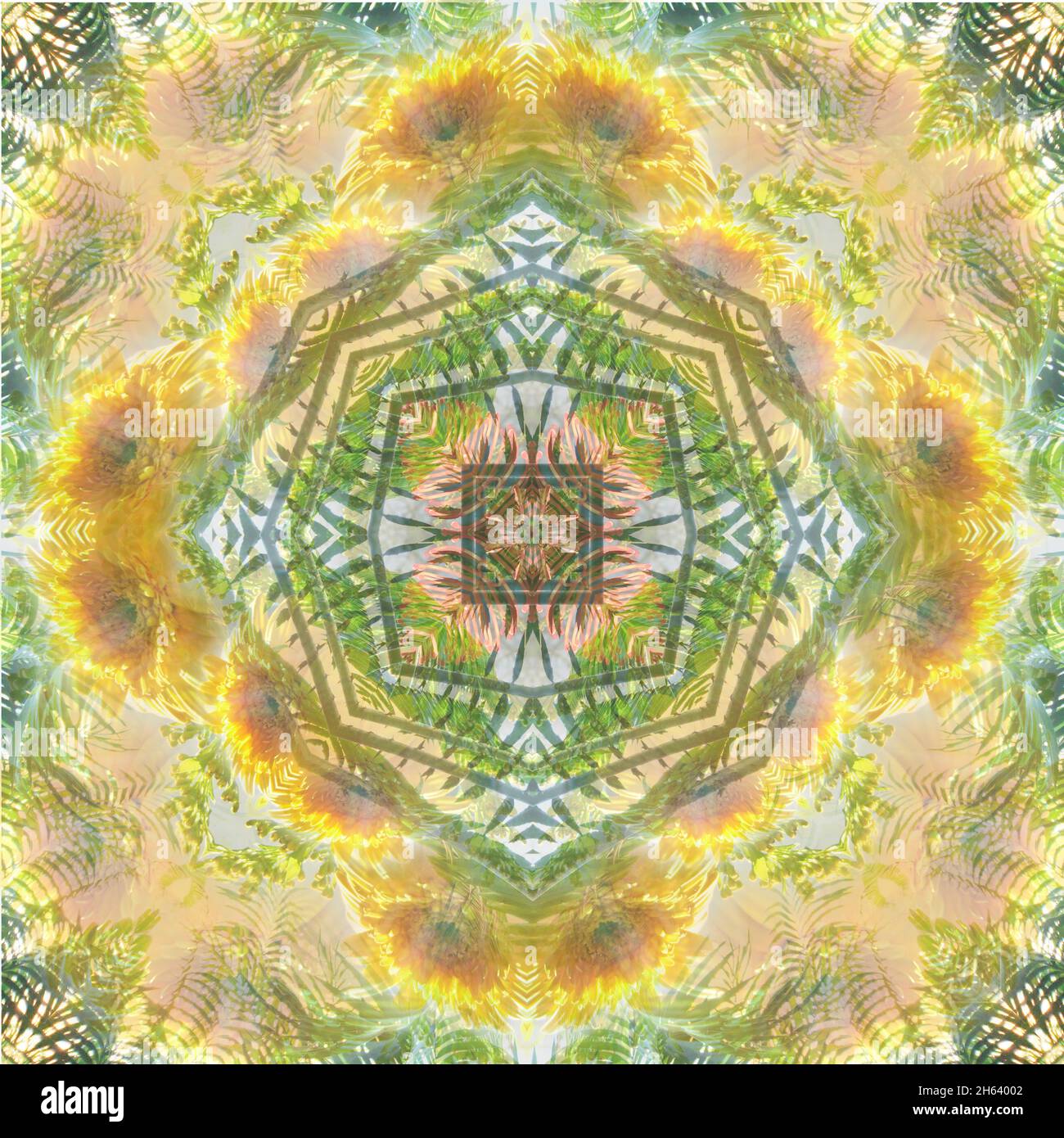 mandala,composition,plantes Banque D'Images