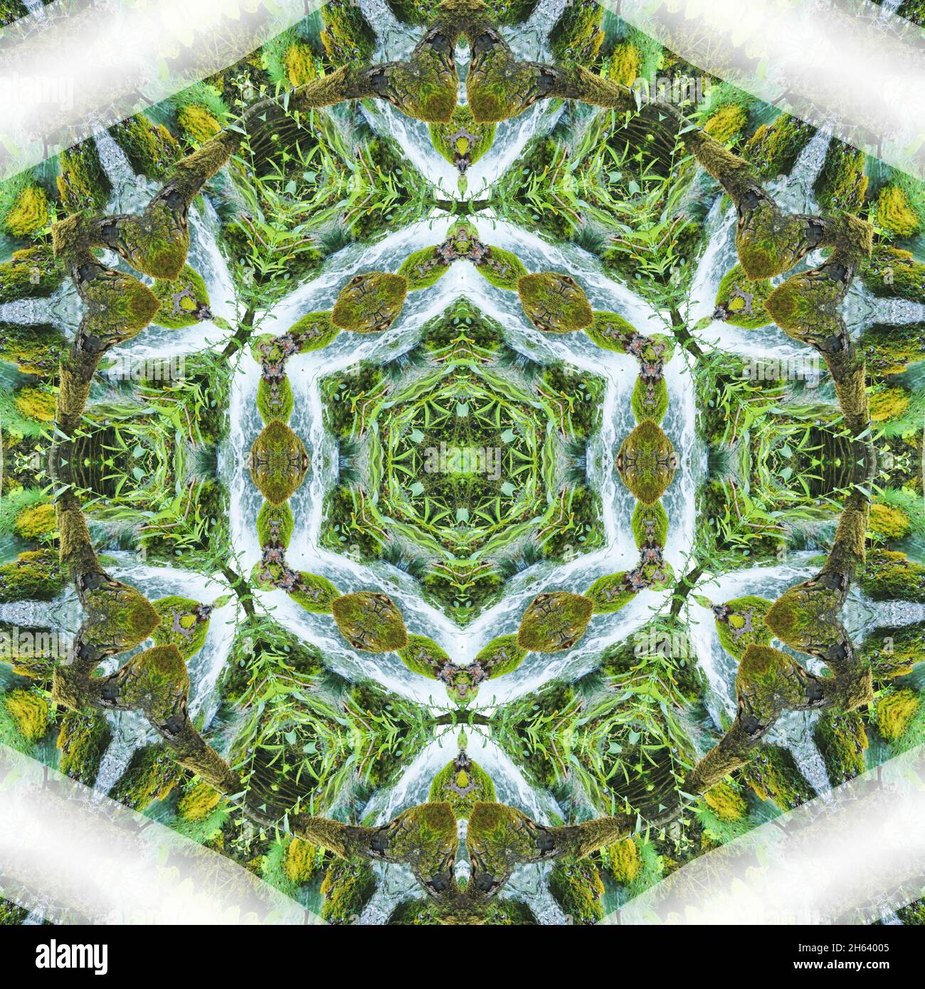 mandala, ruisseau, mousse Banque D'Images