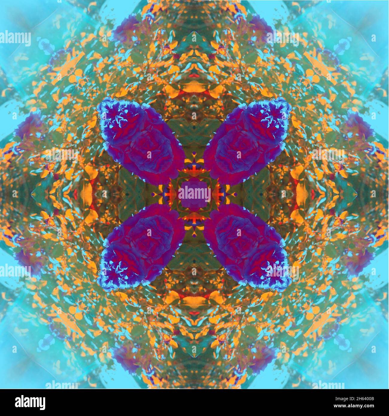 mandala,composition,plantes Banque D'Images