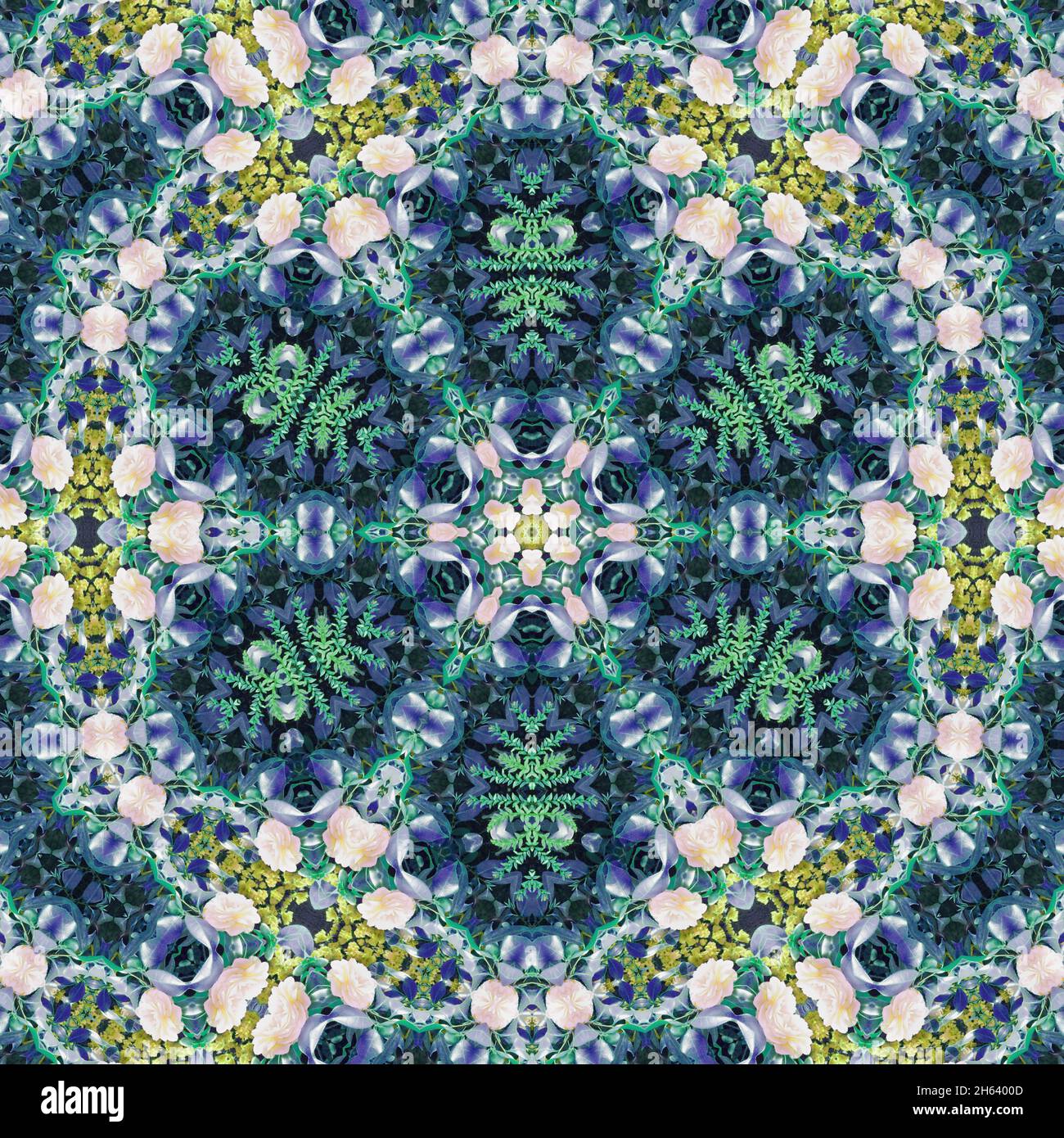 mandala,composition,plantes Banque D'Images