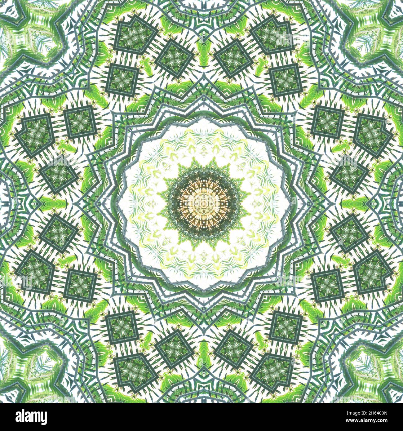 mandala,composition,plantes Banque D'Images