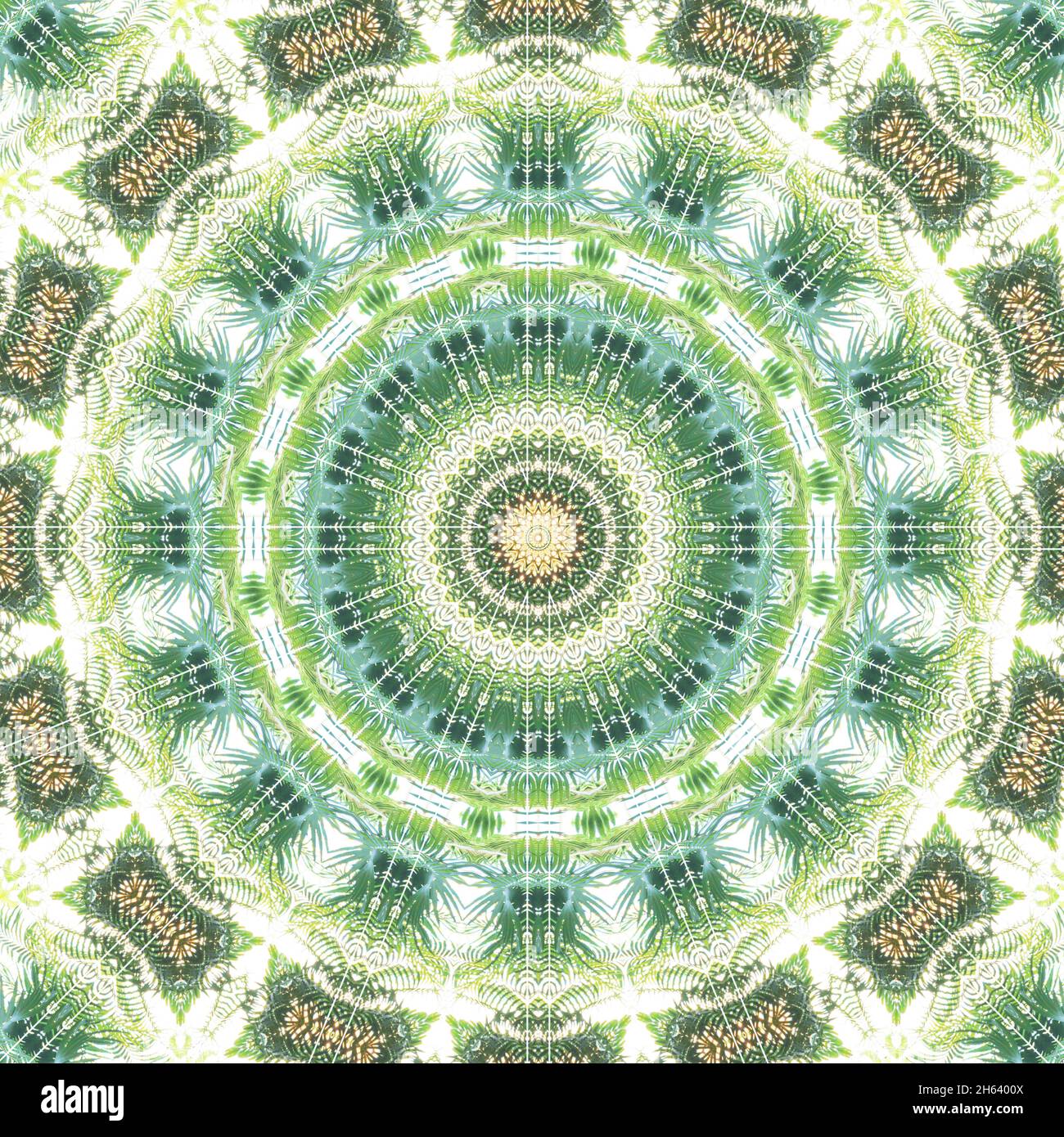 mandala,composition,plantes Banque D'Images