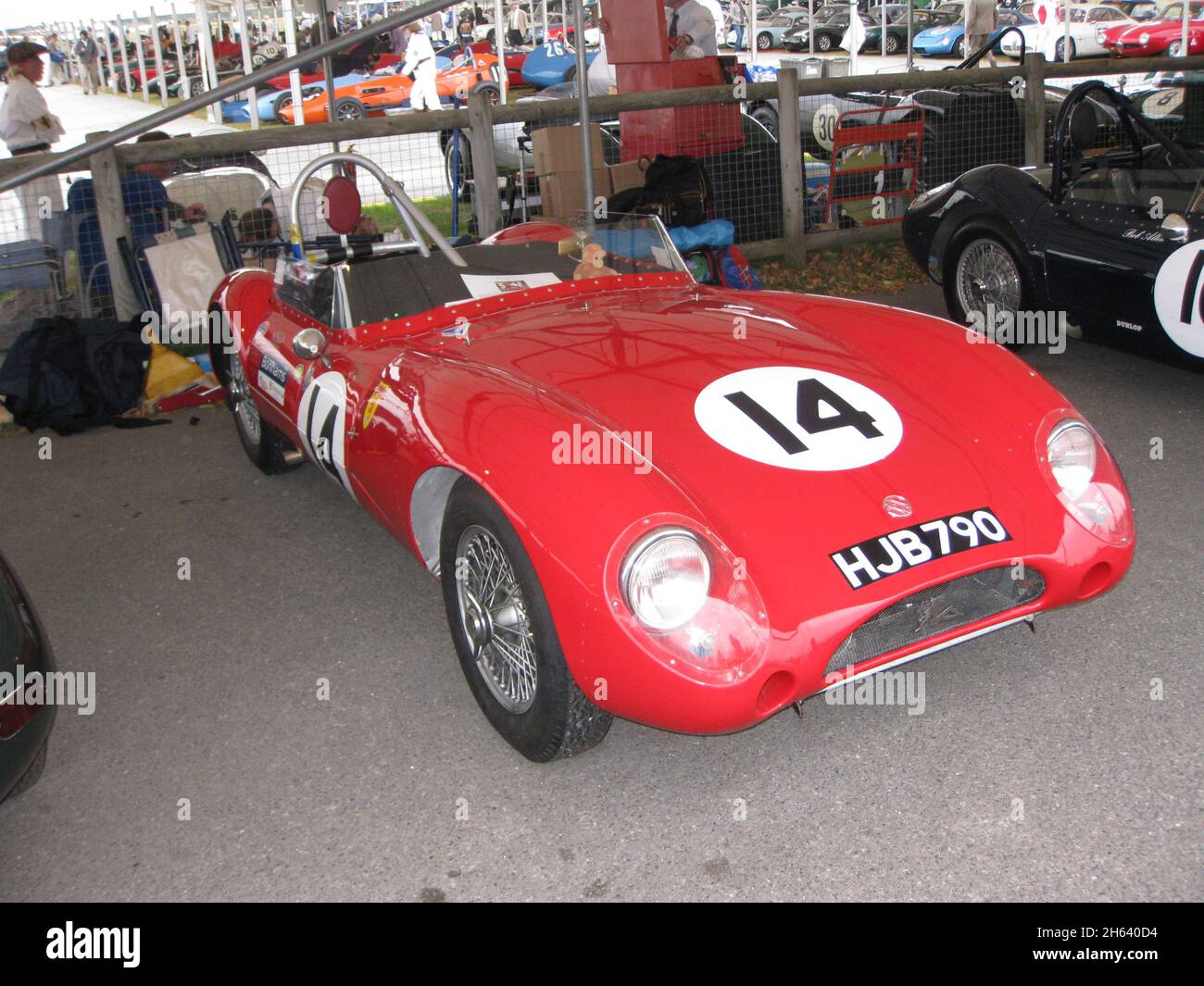 #14 Lester MG 1952 de George Edney dans le paddock au Goodwood Revival 18 septembre 2009 Banque D'Images