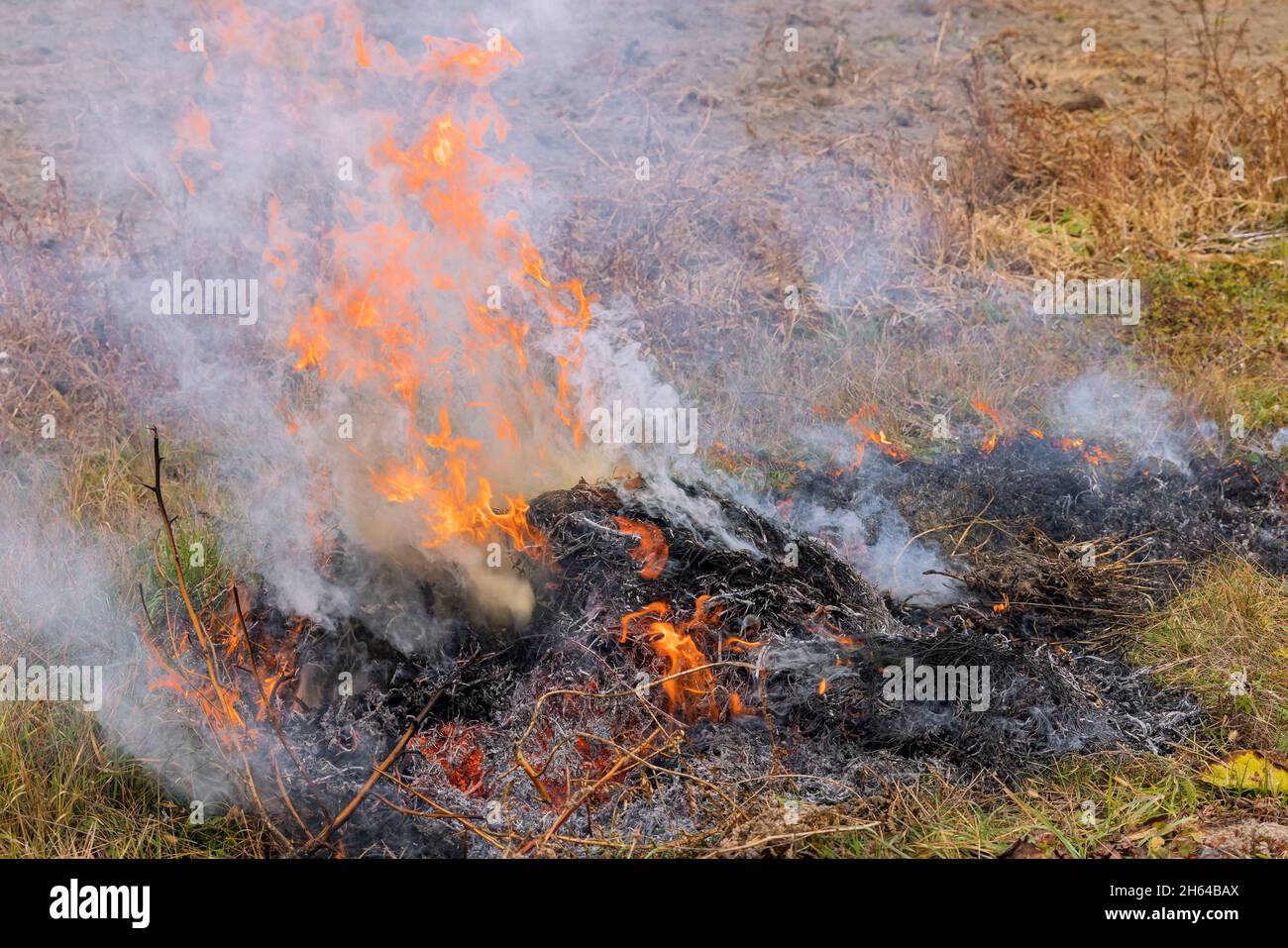 Feu de forêt sur le terrain après la récolte d'herbe sèche brûlée prairie due aux changements climatiques arides temps chaud et pollution de l'environnement Banque D'Images