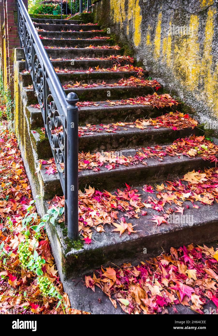 Un vieux escalier piétonnier avec des grilles ajourées à motifs et des murs recouverts de mousse est parsemé de feuilles d'automne tombées de pommes rouges créant la cha Banque D'Images