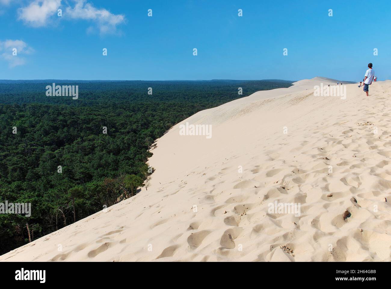 Vue panoramique de haut niveau depuis la dune de Pilat ou la dune du Pilat au sud-ouest de Bordeaux, en France, surplombant la forêt ; dune de sable la plus haute Banque D'Images