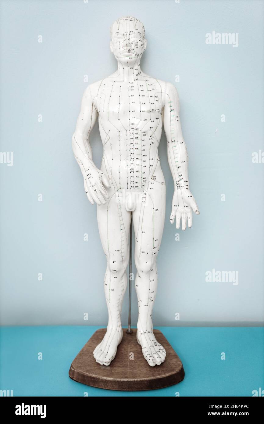 Almaty, Kazakhstan - 12 juillet 2021: Modèle de médecine orientale sur table d'hôpital, acupuncture figure du tutoriel chinois traditionnel de médecine. Banque D'Images
