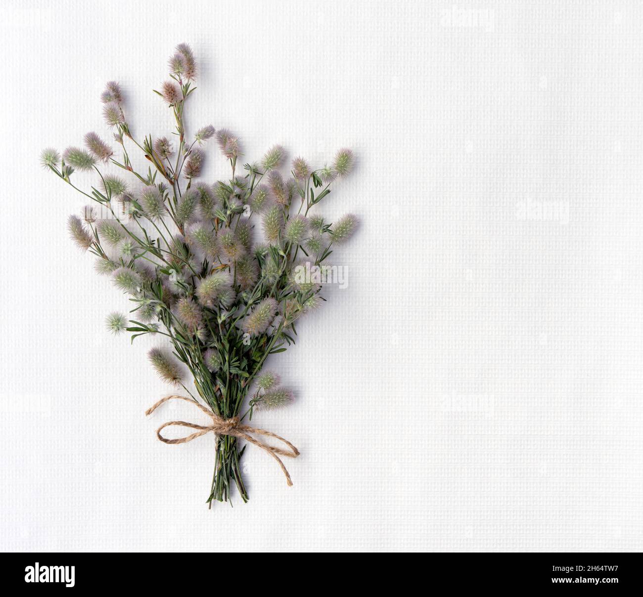 carte avec un bouquet de fleurs sauvages moelleuses avec espace de copie pour le design Banque D'Images