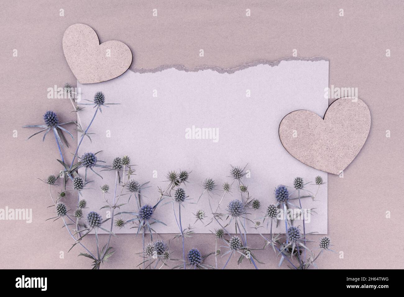 Carte délicate avec fleurs sauvages et coeurs avec espace de copie pour le design. Banque D'Images