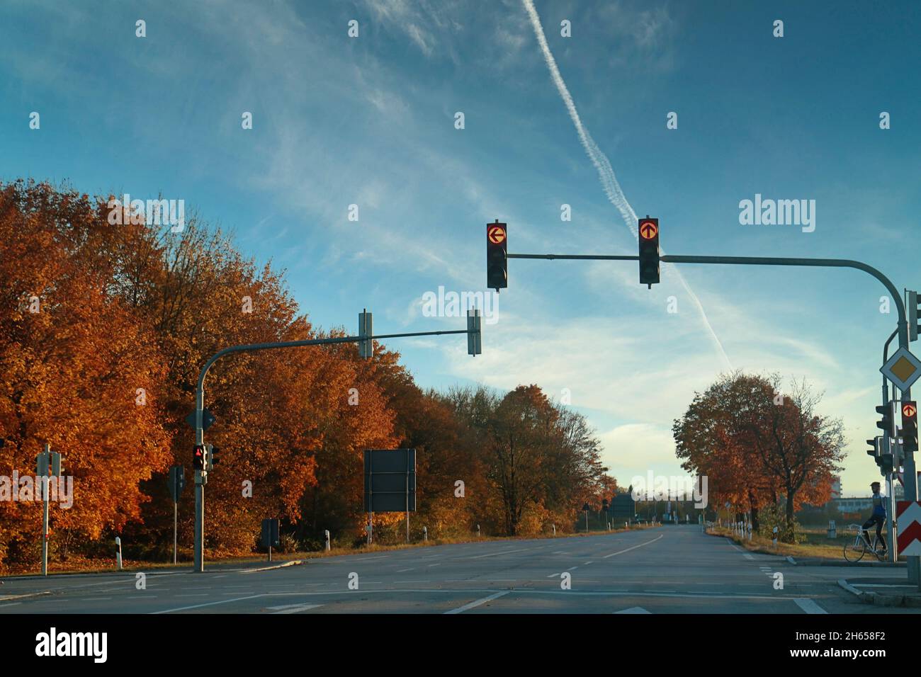 Vue automnale d'un croisement avec feux de signalisation sur une route de campagne flanquée d'arbres avec un feuillage rouge glorieux sous un ciel bleu Banque D'Images