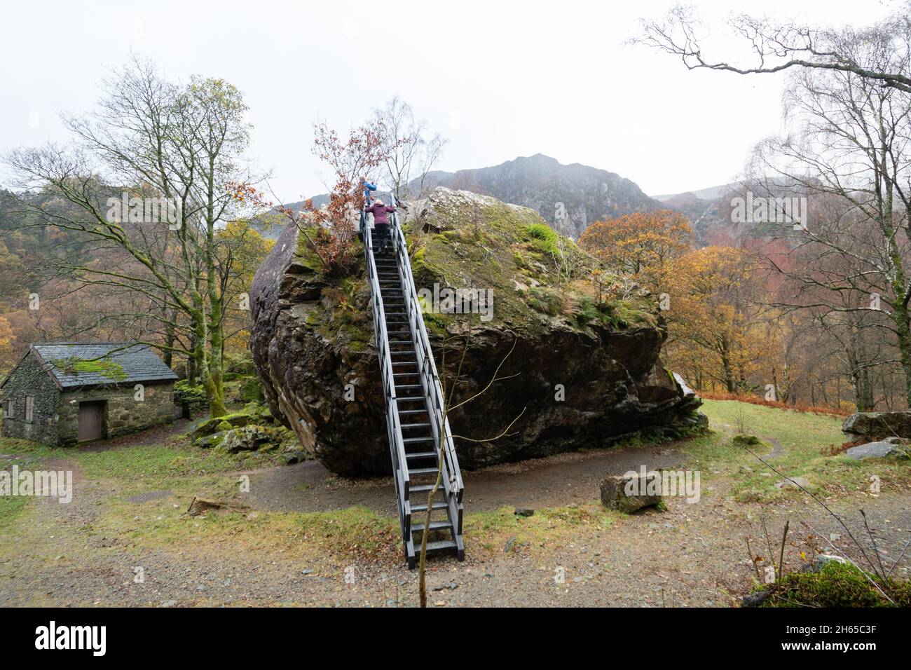 The Bowder Stone avec des visiteurs grimpant, un grand rocher de lave andesite et une attraction touristique à Borrowdale, Cumbria, Angleterre, Royaume-Uni Banque D'Images