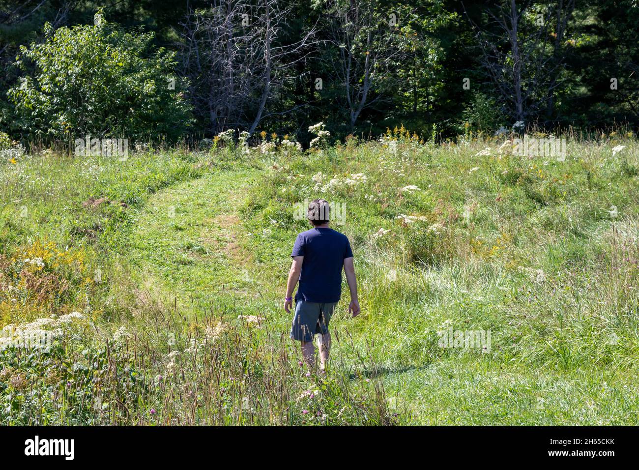 Homme caucasien dans ses années quarante marchant sur un chemin fauchée dans un champ vers une forêt sombre.Vue sur la droite.Vue arrière. Banque D'Images