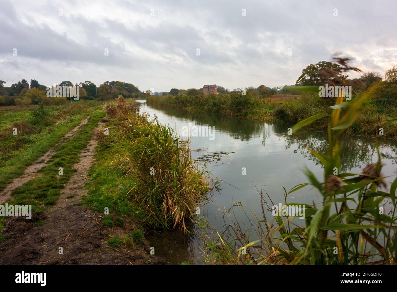 Canal de Dilham Banque D'Images