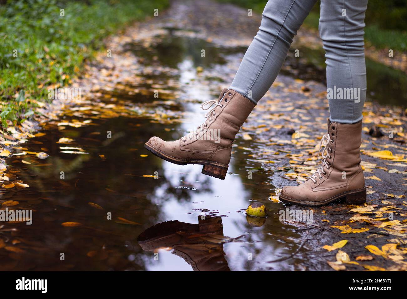 Bottes en cuir imperméables sur le bas de porte avec reflets.Chaussures de randonnée en automne.Femme marchant sur un sentier humide après la pluie Banque D'Images