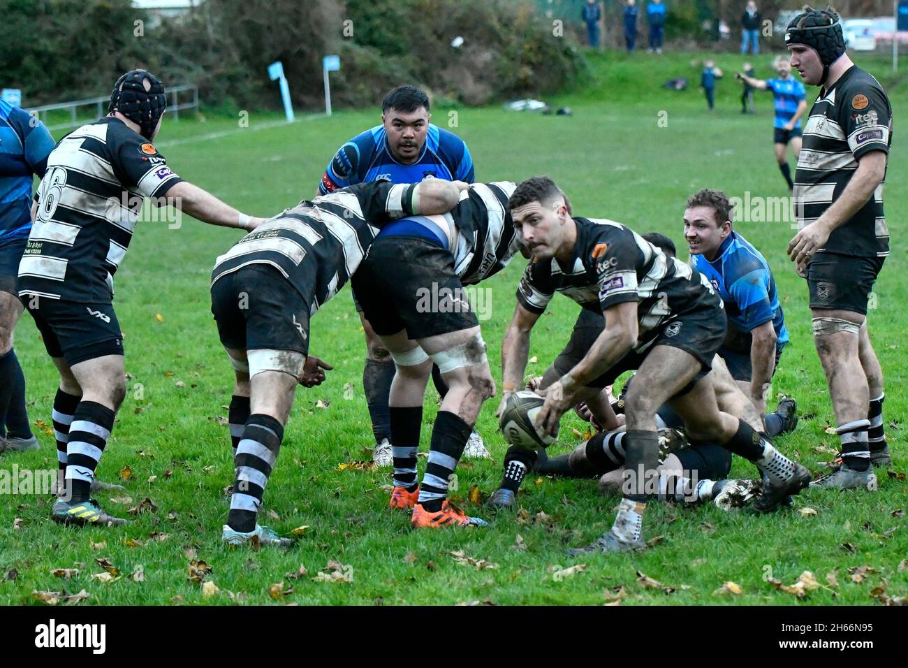 Trebanos, pays de Galles.13 novembre 2021.Tom Bainton de Cross Keys RFC en action lors du championnat national Admiral WRU entre Trebanos et Cross Keys au parc Trebanos à Trebanos, pays de Galles, Royaume-Uni le 13 novembre 2021.Crédit : Duncan Thomas/Majestic Media/Alay Live News. Banque D'Images