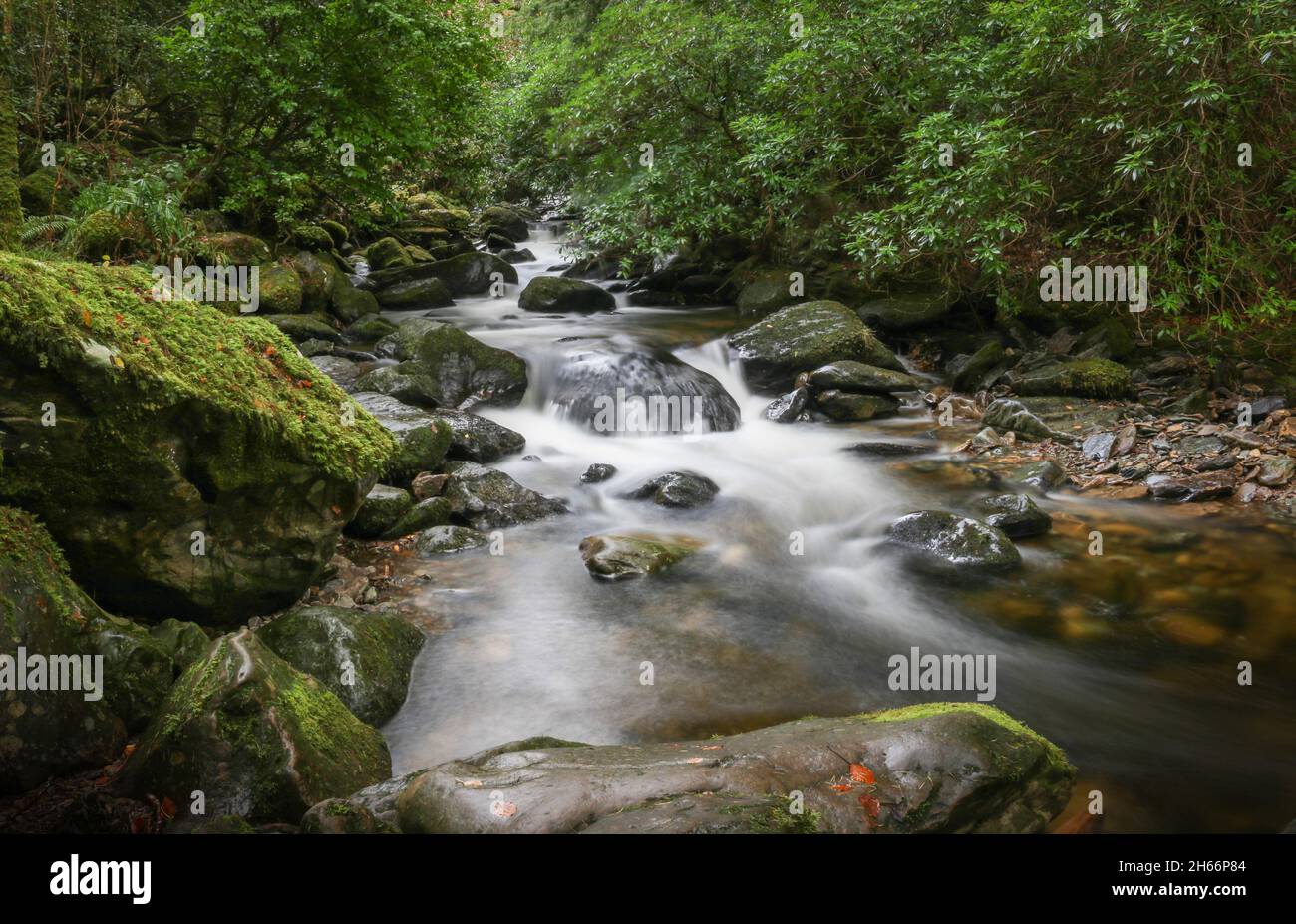 Cascade de Torc au parc national de Killarney, Irlande Banque D'Images
