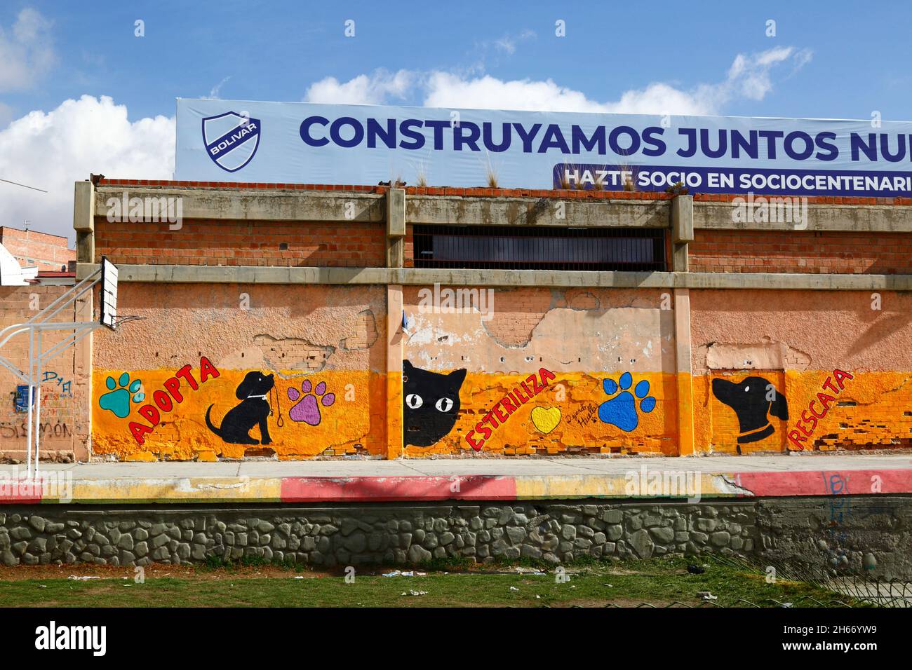 Peintures murales à l'extérieur du stade Bolivar dans le quartier Tembladerani de la Paz encourageant les gens à adopter des animaux comme animaux de compagnie plutôt que d'en acheter de nouveaux, et aussi à les stériliser pour réduire la population d'animaux abandonnés vivant dans les rues. La Paz, Bolivie Banque D'Images