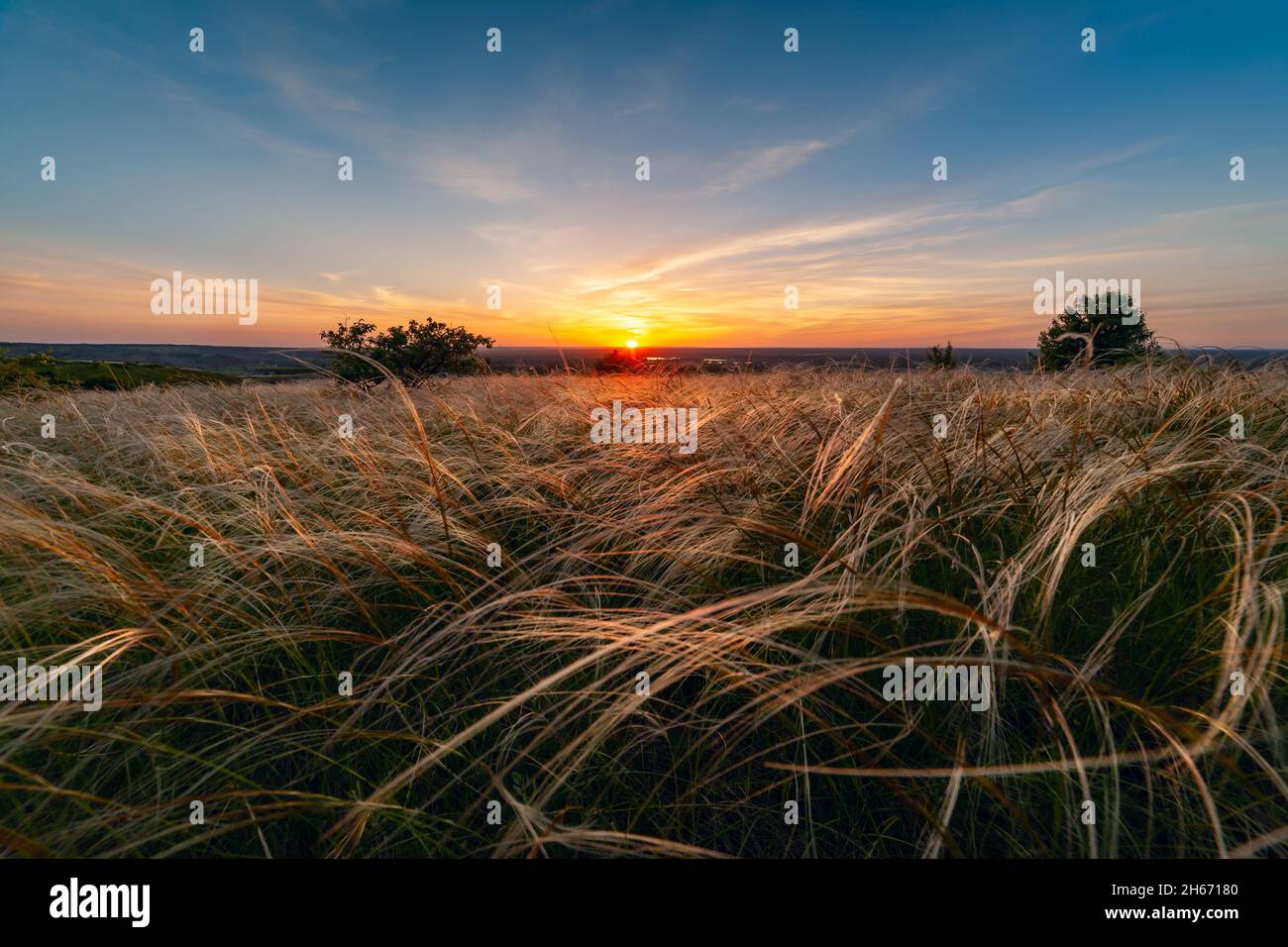 Printemps en steppe, nuages dans le ciel.Prairie florale avec herbe, panorama, plaine Banque D'Images