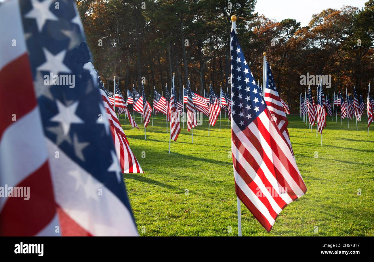 Dennis (Cape Cod, Massachusetts), champ d'honneur.Un hommage de la Journée des anciens combattants à ceux qui ont servi.400 drapeaux américains sponsorisés être des individus dans la mémoire o Banque D'Images