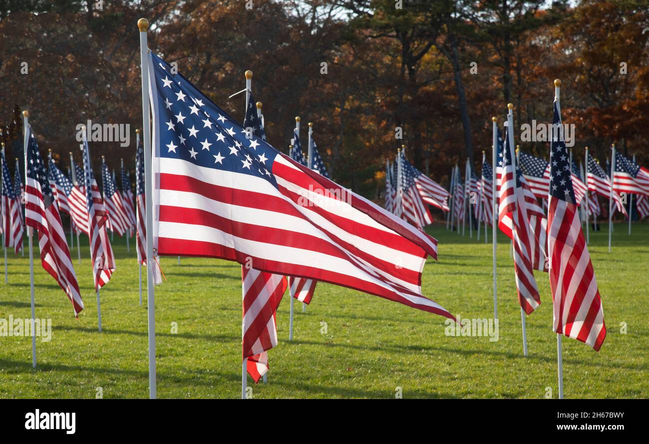 Dennis (Cape Cod, Massachusetts), champ d'honneur.Un hommage de la Journée des anciens combattants à ceux qui ont servi.400 drapeaux américains sponsorisés être des individus dans la mémoire o Banque D'Images