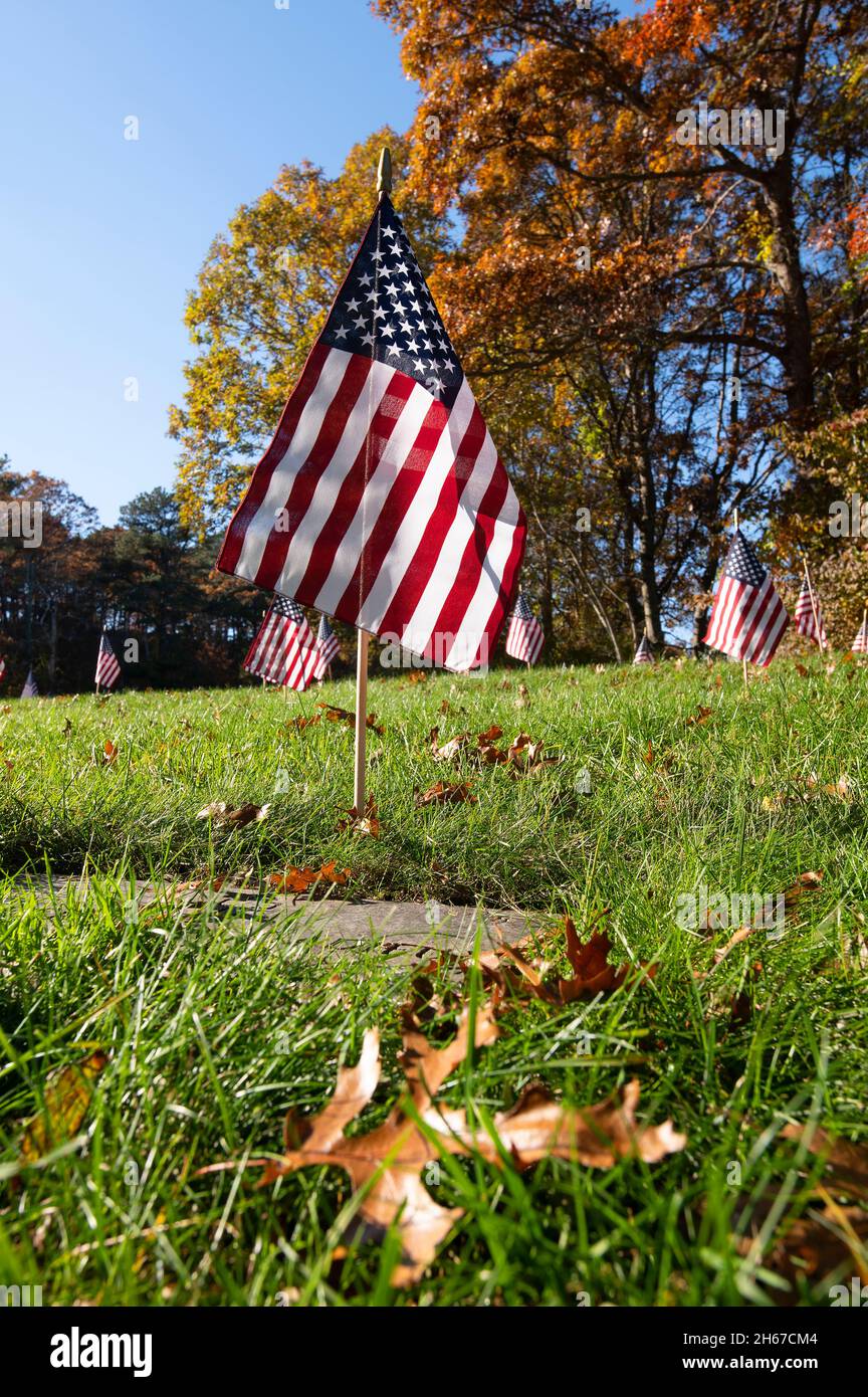 Drapeaux de la fête des anciens combattants sur chaque tombe du cimetière national du Massachusetts à Bourne, Massachusetts sur Cape Cod, États-Unis Banque D'Images