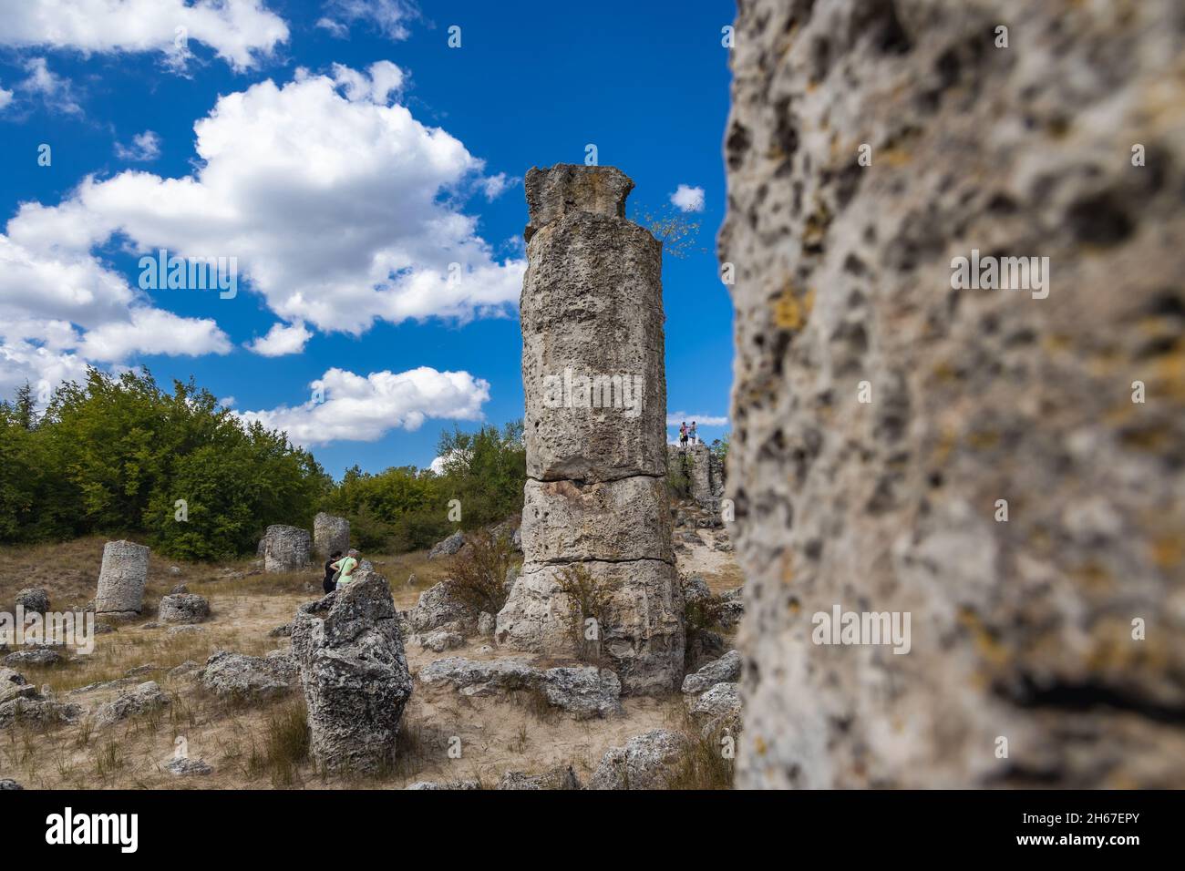 Colonnes en pierre dans la région des formations rocheuses de Pobiti Kamani appelée désert de pierre en Bulgarie Banque D'Images