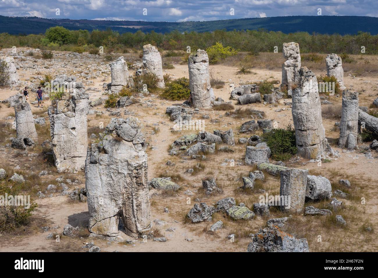 Colonnes en pierre dans les formations rocheuses de Pobiti Kamani appelées désert de pierre en Bulgarie Banque D'Images
